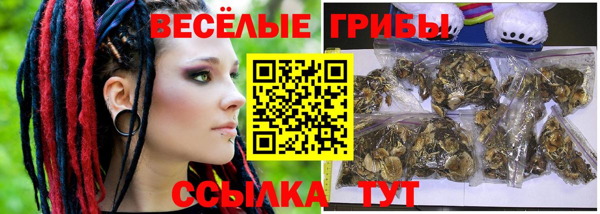 Псилоцибиновые грибы прущие грибы  Галлюциногенные грибы MAGIC MUSHROOMS  сколько стоит  Вход с VPN  Конаково 